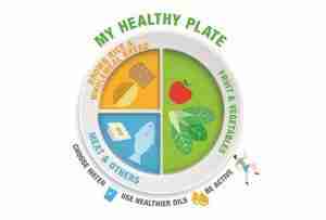 My health plate infographics